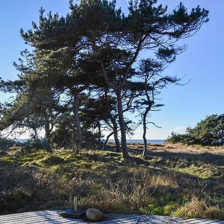 Ebbes Lyng Nykobing Sj Xi * Tjørneholm